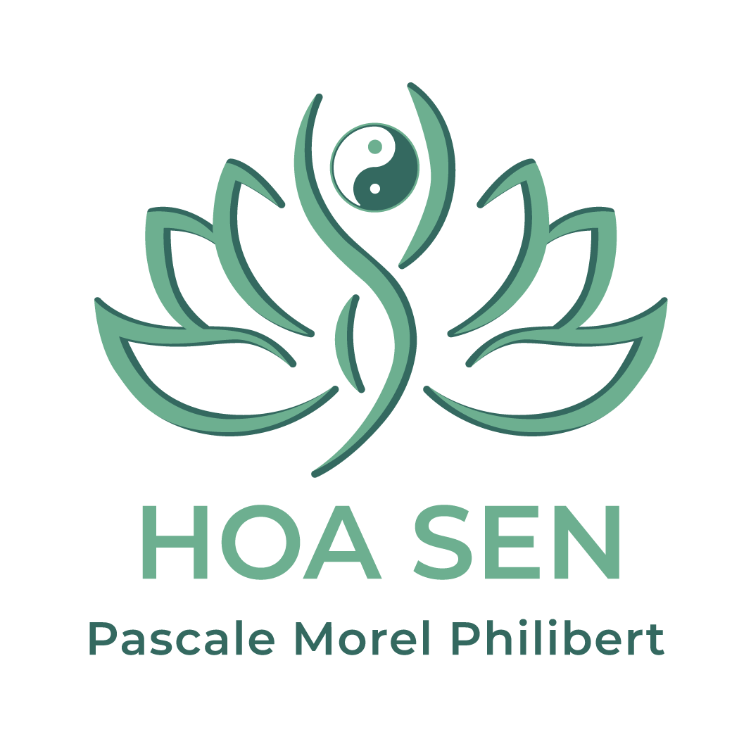 HOA SEN - pascale morel philibert